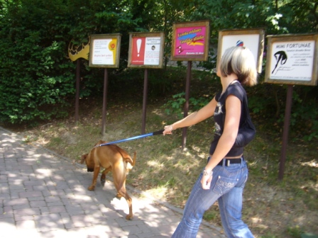 P1100474.JPG