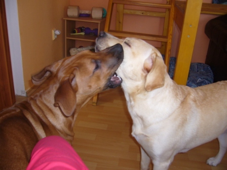 P1100064.JPG